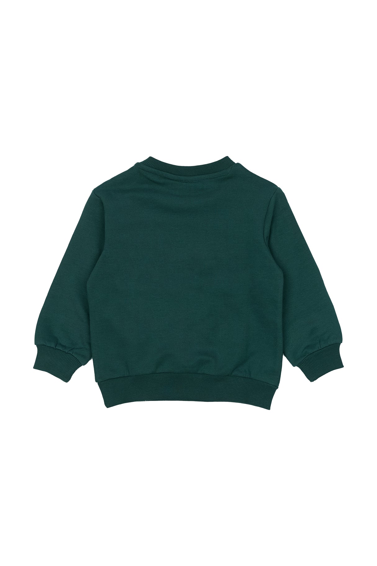 Max Sweatshirt Groen