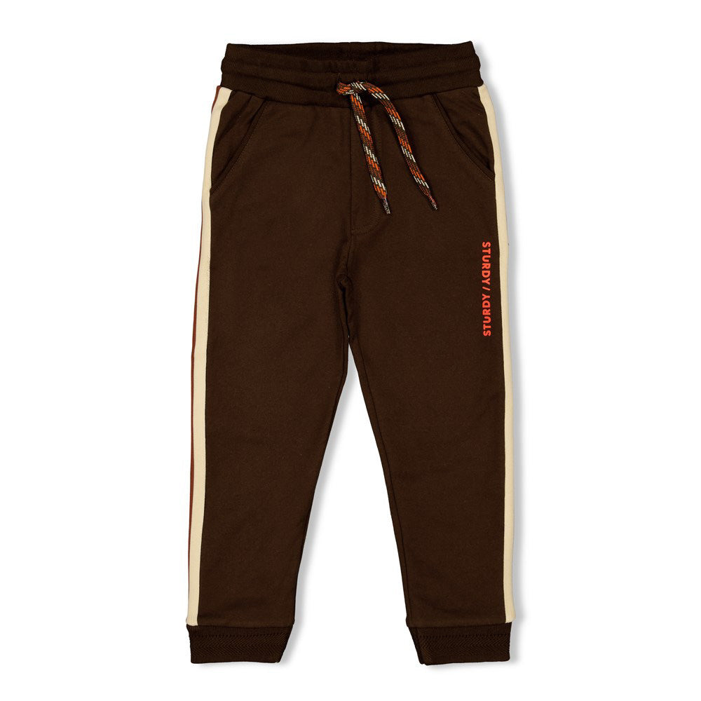 Fly Wild Broek Donkerbruin